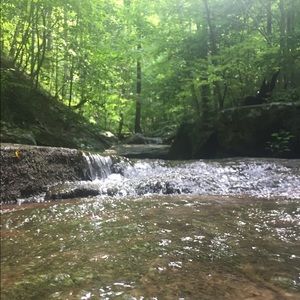 Meet your Posher, Tia